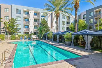 Oasis: relaxing saltwater infused resort-style pool
